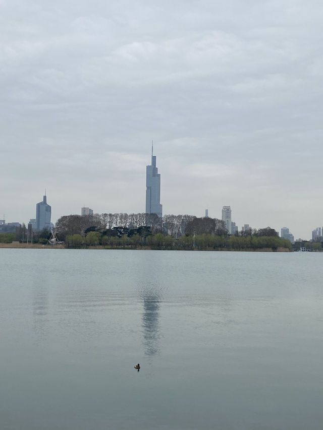 南京 玄武湖景區 情侶園 🌱 🪻