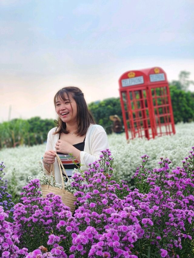 Chiang Mai 4 Days 2 Nights: Doi Suthep – Doi Pui – Doi Inthanon🇹🇭