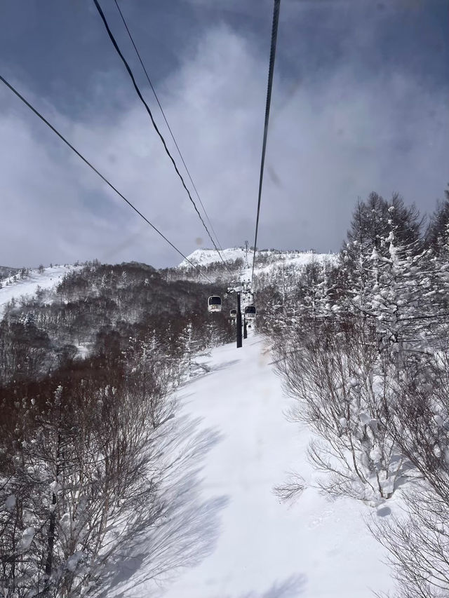 【日本屈指の広大なゲレンデ！「志賀高原スキー場」で極上のパウダースノーを満喫🏂⛷️❄️】