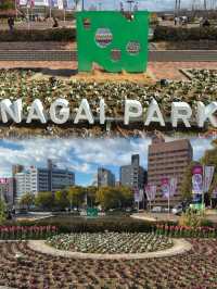 大阪｜城市公園一日遊｜享受自然與文化 🌳🌼