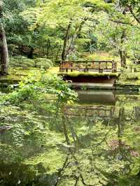 【石川×那谷寺】お化けのような怪奇石