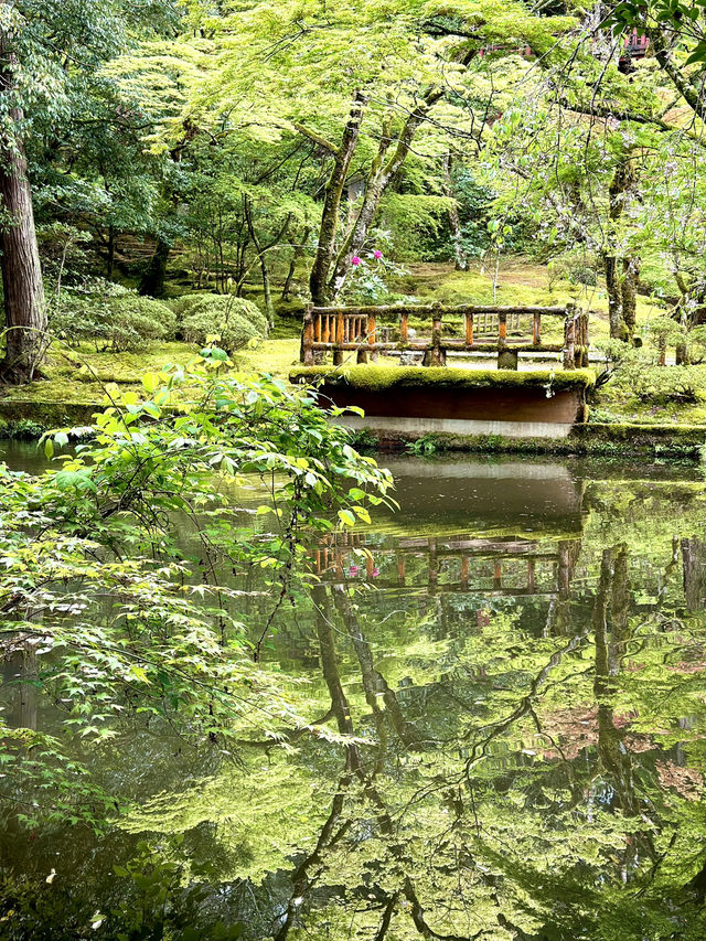 【石川×那谷寺】お化けのような怪奇石