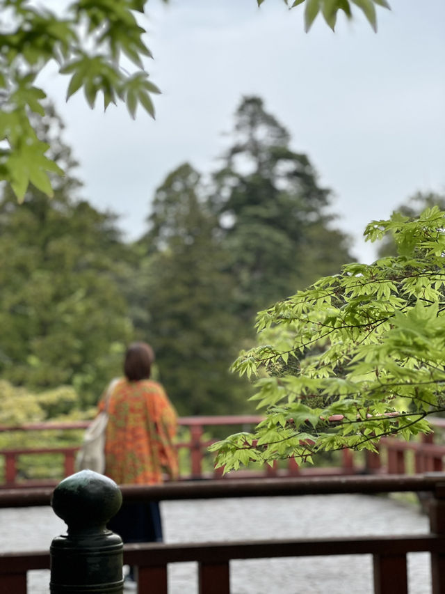 【石川×那谷寺】緑の苔に覆われた境内  羽織、番傘レンタルが無料