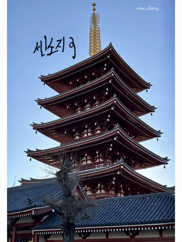아사쿠사 여행 즐기기!!🇯🇵🎏🥢
