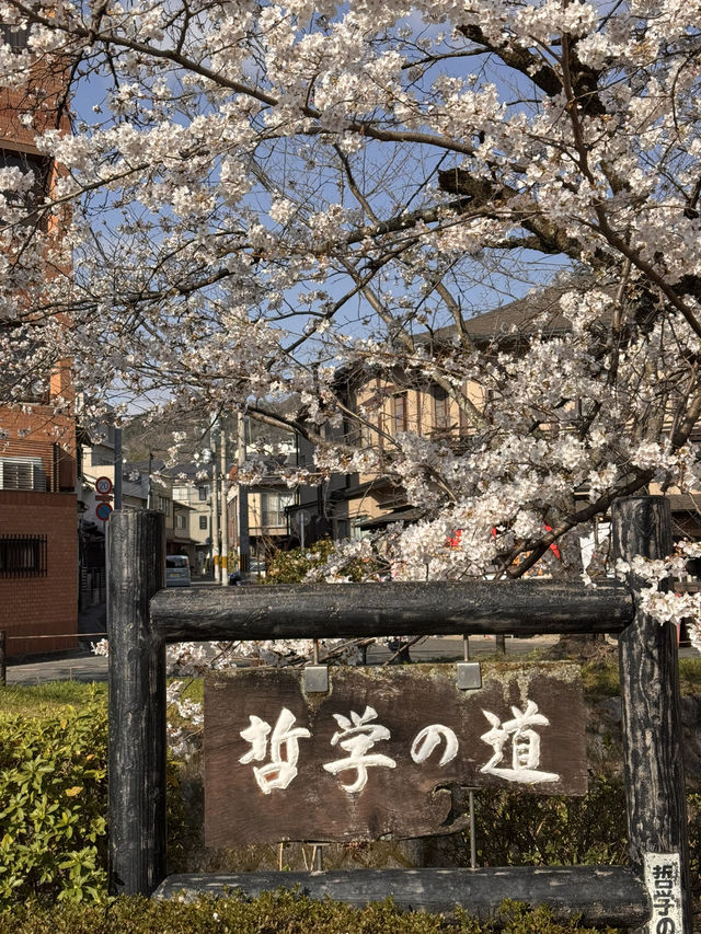 哲學之道