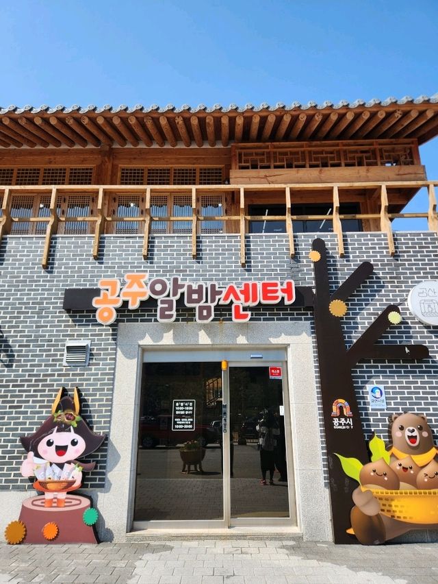 🤎공주의 시그니처 밤으로 만든 기념품 가득한 , "공주알밤센터"🤎