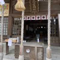 【山口県下関市長府🇯🇵忌宮神社】長府の中心に佇む歴史ある神社⛩️