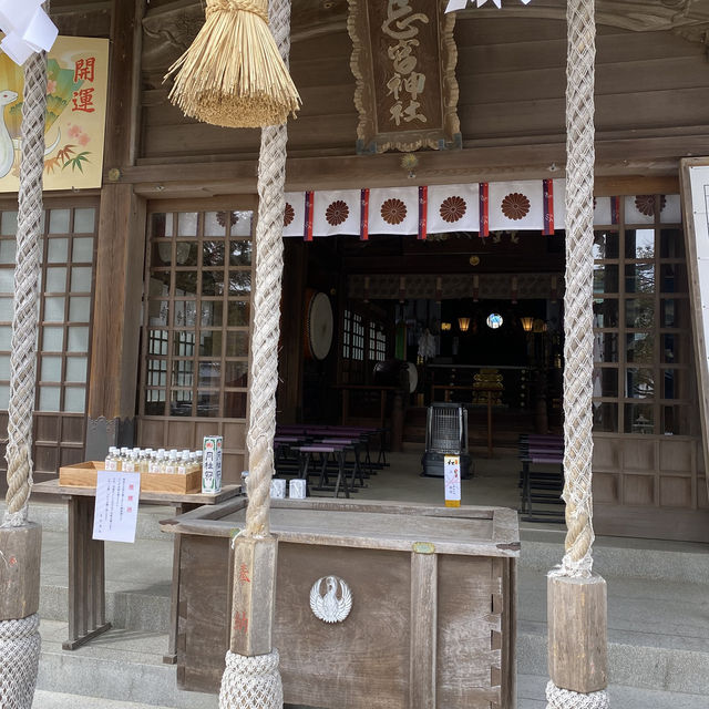 【山口県下関市長府🇯🇵忌宮神社】長府の中心に佇む歴史ある神社⛩️