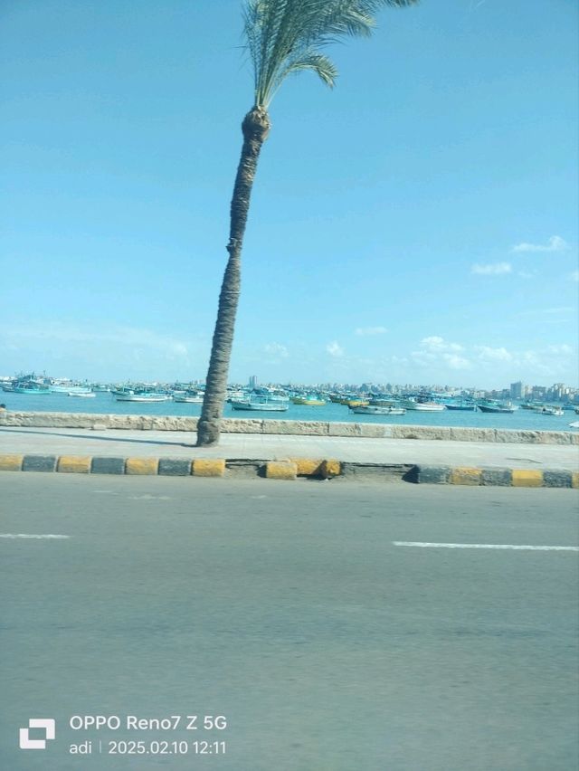 love alexandria