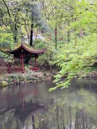 Hupao Park– Where Legendary Springs Meet Zen Serenity
