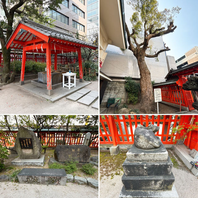 【天神】天神の名前の由来✨鯉が泳ぐ個性派神社✨