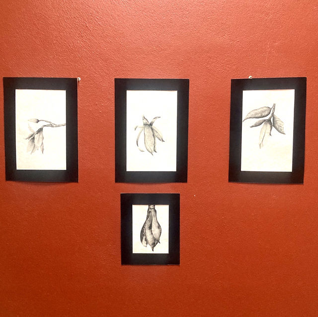 P.ART.Y Gallery and Studio Pattani