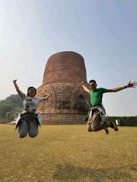 圣地Sarnath 鹿野苑