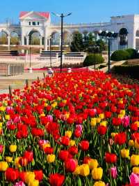 Chaoyang Park– Beijing's Vibrant Urban Oasis