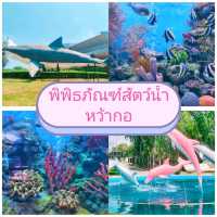 พิพิธภัณฑ์สัตว์น้ำหว้ากอ @ ประจวบคีรีขันธ์