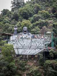 Gu Long Gorge (Qingyuan) One-Day Adventure
