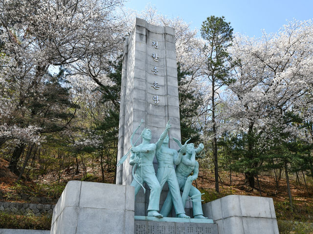 顕忠院のしだれ桜が見せる静かな春の美🌸