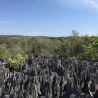 走進另一個世界｜Tsingy De Bemaraha National Park