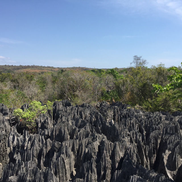 走進另一個世界｜Tsingy De Bemaraha National Park