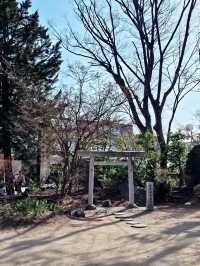 松本市區一日遊行程，從城堡漫步到老街文青時光。