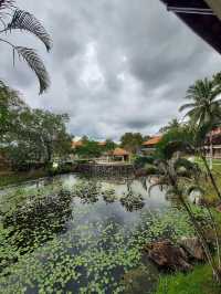 Sebana Cove Resort