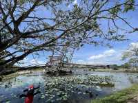 🚂✨ Tanjung Tualang Tin Dredge No. 5: A Rusty Giant of Malaysia’s Tin Boom Era ✨