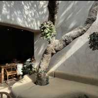 Bread Yard - Seminyak