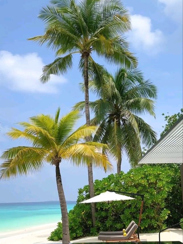 Cheval Blanc Randheli: A Slice of French Paradise in the Maldives🌊✨  