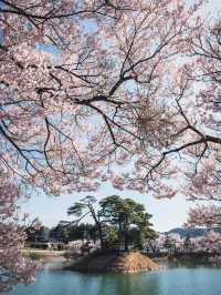 Rokudō no Tsutsumi 🌸