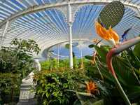 Chilling at the Glasgow Botanic Gardens 🌿🌼🏛️🌞🍃