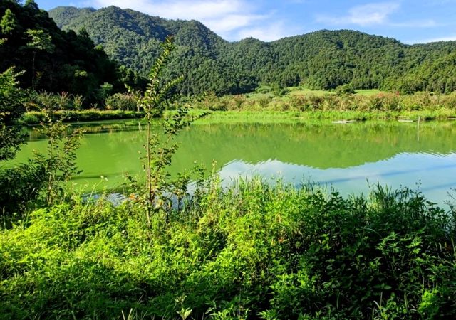 #雙連埤-宜蘭縣員山鄉
