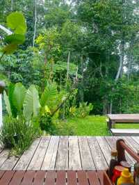 ที่พักในชุมพร น้องหมาพักได้