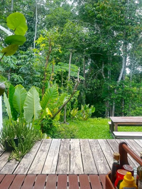ที่พักในชุมพร น้องหมาพักได้