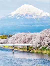 At Ryuganbuchi, Spring Floats Quietly On the River Breeze.