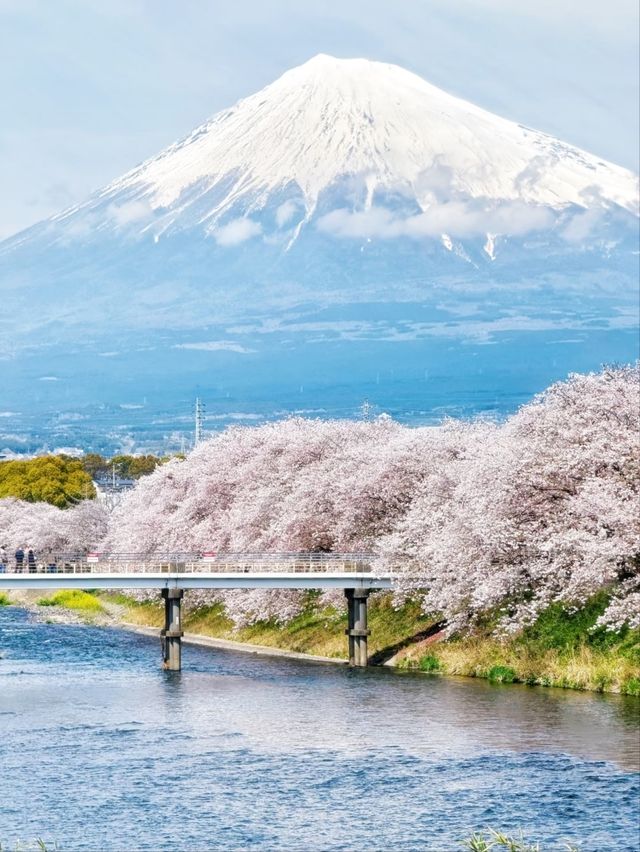At Ryuganbuchi, Spring Floats Quietly On the River Breeze.