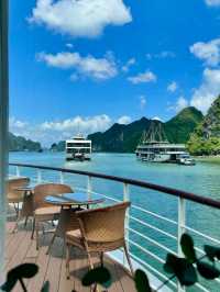 🚢✨Sailing in Style: Indochine Cruise Magic ✨🚢