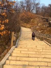 【韓国/ソウル】南山タワーを見ながらお散歩《南山公園》