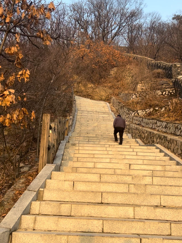 【韓国/ソウル】南山タワーを見ながらお散歩《南山公園》