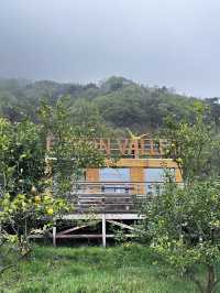 島波海道-尾道到今治的自行車道