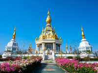 🌶️🚜 KHON KAEN WEEKEND: Where Isaan Culture Comes Alive!  