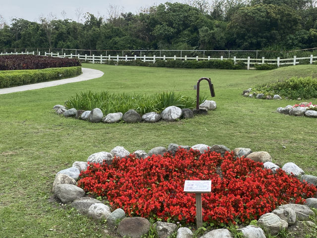 曼波園區 四八坑道  花蓮七星潭 