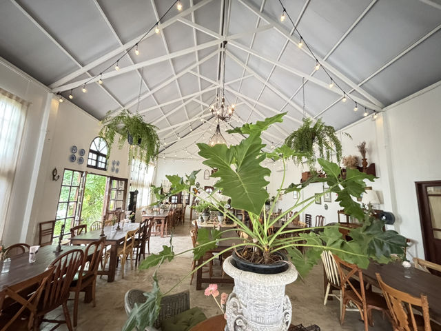 Rice Field Home Farmstay & Cafe
