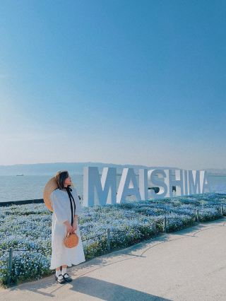 Nemophila-Công viên ven biển Maishima