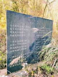 中國四川廣元著名景點：中國知青文化碑林，適合打卡拍照📸