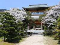 🍂 Secret Zen & Matcha Breaks: A Morning at Saifukuji Temple 🍂  