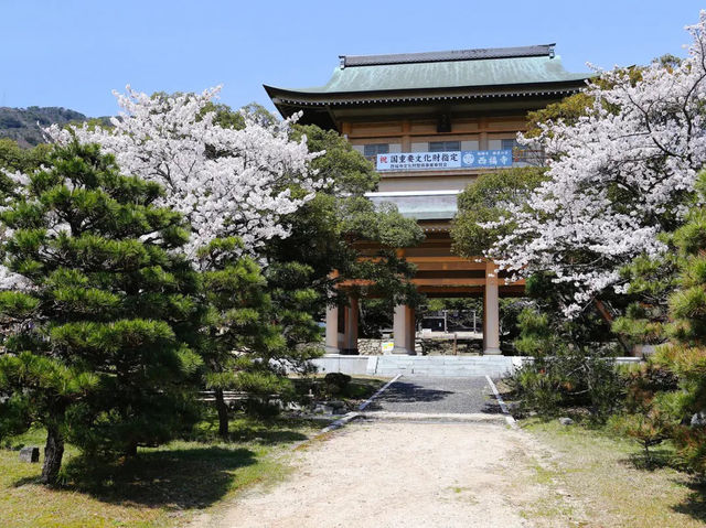 🍂 Secret Zen & Matcha Breaks: A Morning at Saifukuji Temple 🍂  