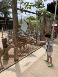 So FUN at Batam Zoo Paradise!!!