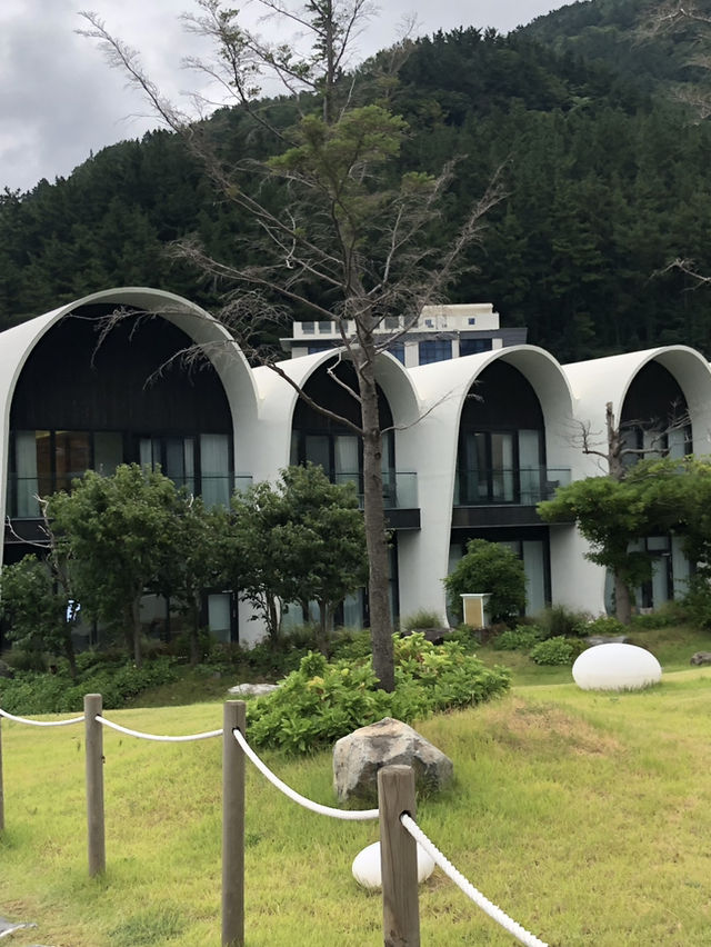 울릉도에서 꼭 들러야 할 감성 카페 🌊 하늘과 바다 사이, 카페 울라에서의 한 잔 