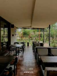 fillmorecoffeejkt