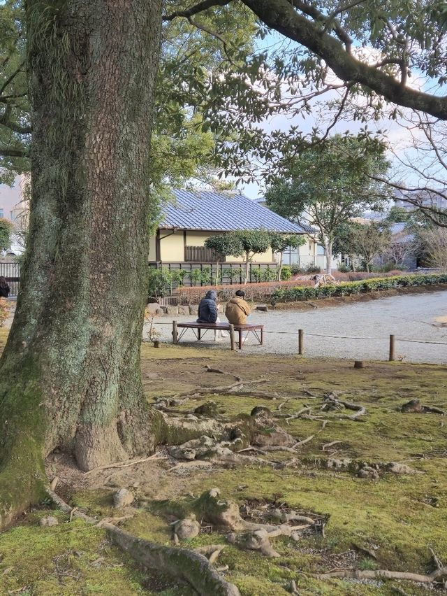 「熊本的隱世庭園一一探索水前寺公園的魅力」